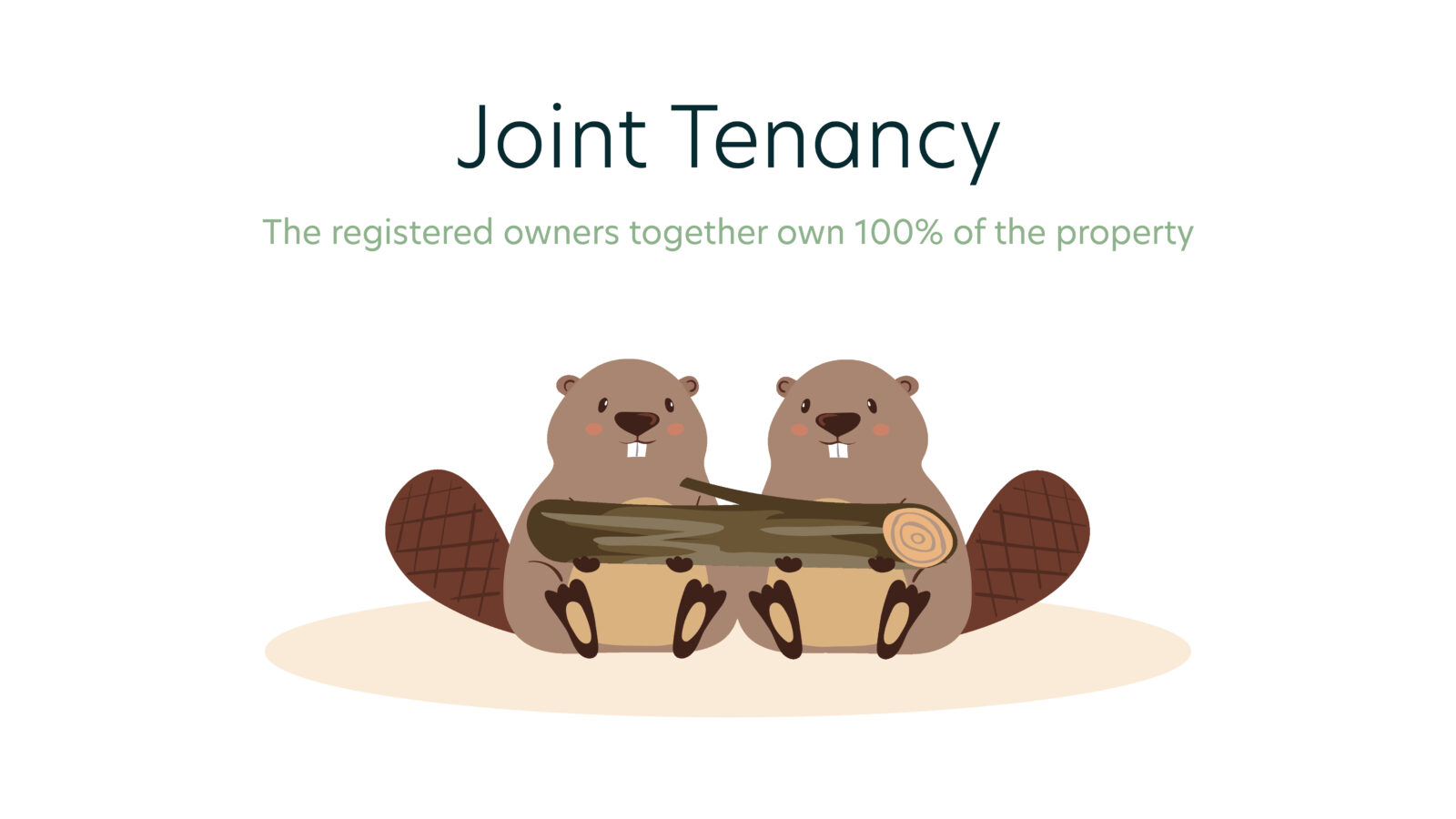 Joint Tenancy vs. Tenancy in Common Bell Alliance